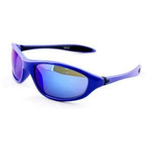 Fishing Sport UV Protected Sunglasses with CE Certificate (91048)