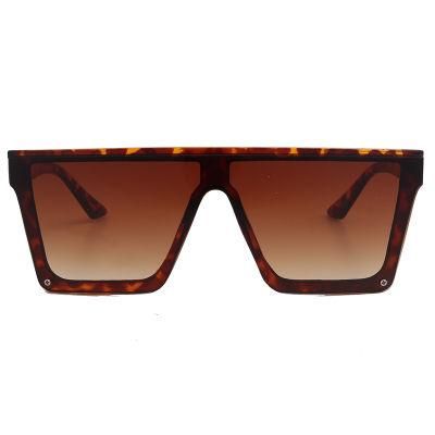 Hot Selling One Piece Trendy Fashion Sunglasses