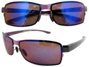 Polarised Sunglasses