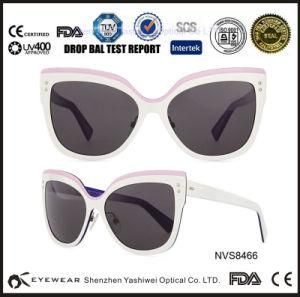 City Vision Sunglasses, Import Sunglasses