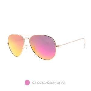 Metal New Fashion Sunglasses, Rb Replicas Aviators Frame M6004-05