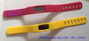 Hot Item Smart Sports Health Bracelet, Health Wristband, Smart Pedometer