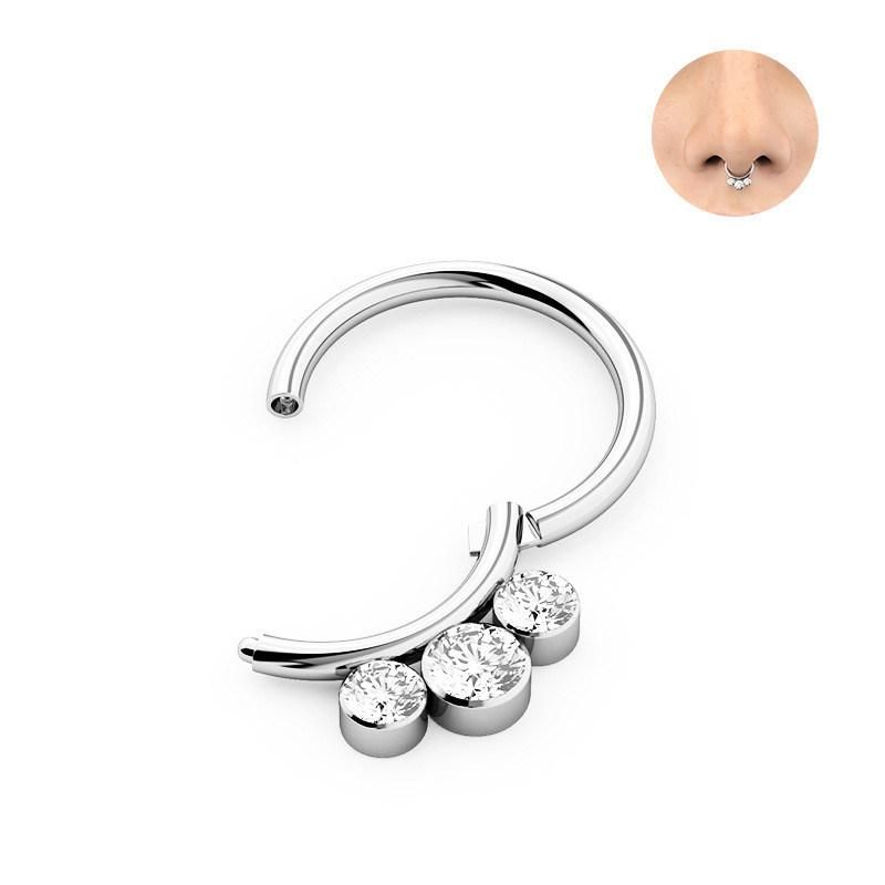 316L Surgical Steel CZ Hinged Segment Rings Body Piercing Jewelry Earrings Hoop and Nose Rings Hoop for Women Men