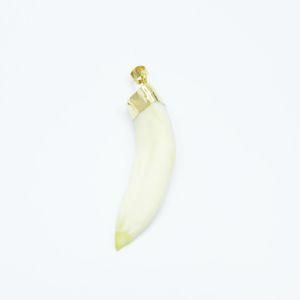 Fashion Natural Wolf Tooth Pendant Jewelry