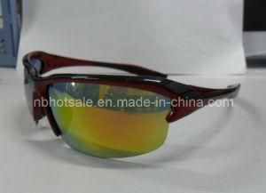 Fashionable Sun Glasses (HSM004)