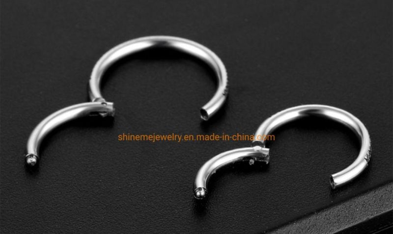 Fashion Jewelry 316L Stainless Steel Piercing Zircon Nose Ring Closed Ring Seamless Connection Nose Ring Earrings Segment Ring Sspr076