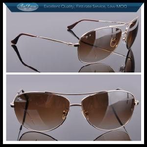 Lady Eyewear Desinger Brands Sunglasses