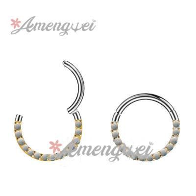 ASTM F136 Titanium Segment Clicker Hinged Nose Rings