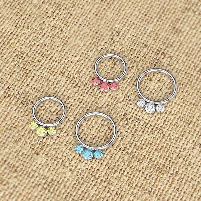 316L Surgical Steel CZ Hinged Segment Rings Body Piercing Jewelry Earrings Hoop and Nose Rings Hoop for Women Men