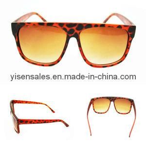Trendy Sunglasses (NYSS2-2-2011)