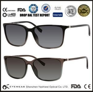 Popular Model Acetate Sunglasses Direct Manufacturer