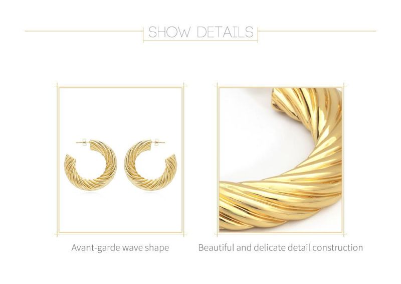 Avant-Grade Wave Shape Hoop Earrings for Party