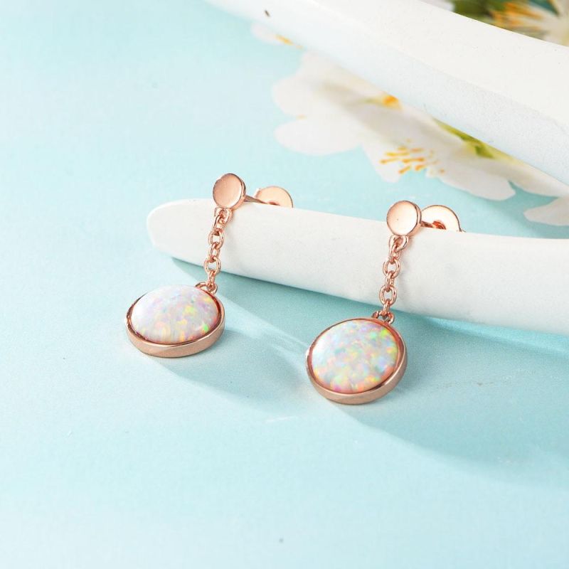 Simple Temperament Versatile Earrings Australia Treasure Women′ S Earring