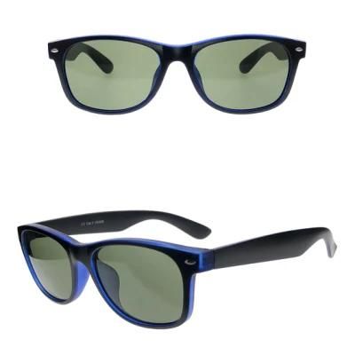 Classic New Color Plastic Rb Fashion Sunglasses for Adult