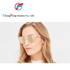 UV Protection Injection Plastic Sunglass Eyewear Frames