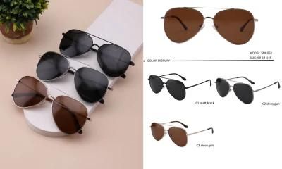 Fashion Stylish Men&prime; S Metal Frame Silver Double Bridge Pilot Sunglasses