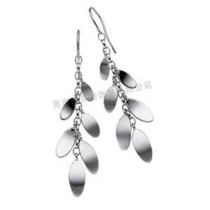 Long Stainless Steel Earrings (EQ8223)