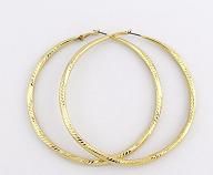 Gold Hoop Earring