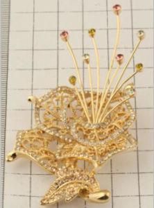 Fashion Brooch Jewelry, Special Brooch