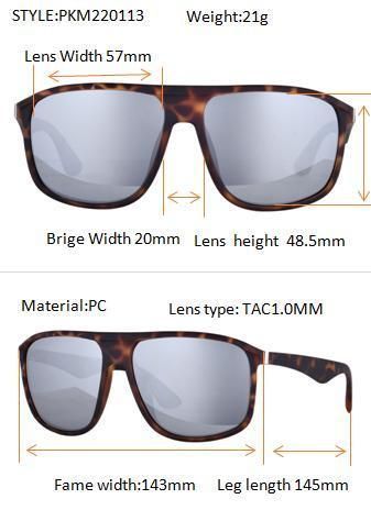 China Sunglass Factory OEM Unisex Custom Logo UV400 Tac Polarized Oversize Tortoise Fashion Sunglasses