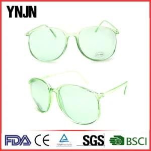 Plastic Oversized Custom Own Brand Transparent Unisex Sunglasses (YJ-2013)