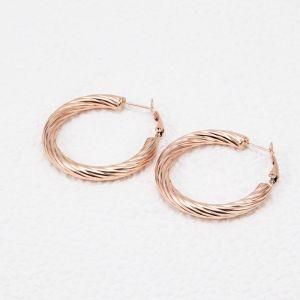 Women Jewelry Stainless Steel Gold Hoop Twisty Earring