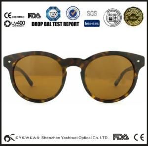 Ysw Latest Hot Sale Unisex Acetate Sunglasses