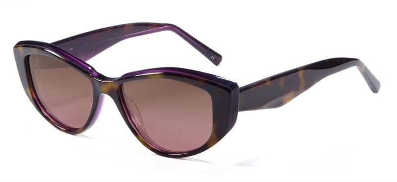 Wholesale Fashion Acetate Polarized OEM Acetate Sunglasses 2022 for Unisex