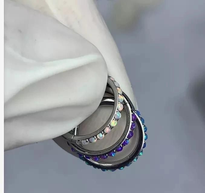 Hot Selling ASTM F136 Titanium Hoop Fashion Jewelry Hinged Segment Ring
