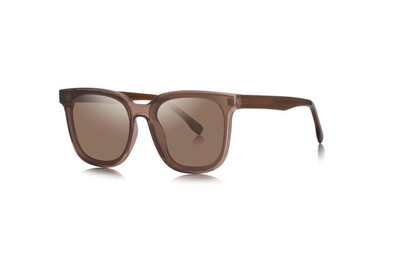 2020 Ready Made Cat-Eye Trendy Fashion Sunglasses