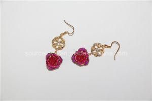 2013 New Styles-Fashion Earrings (EH092)