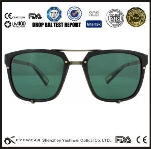Large Frame Latest Popular Sunglasses Bifocal Eyewear