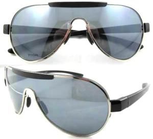 Polarized Sunglasses (11048)