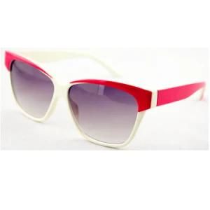 Fashion Sunglasses with CE / FDA / BSCI for Women (14202)