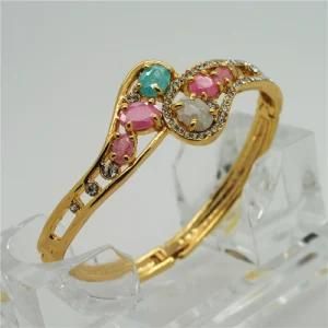 2014 Jewelry Bracelet Bangle Newest Design Special Hyacinth Fashion Jewellery Bangles (B14A0072981W0024)