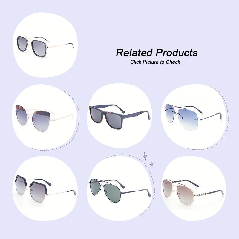 Fcsl7020 Wenzhou FC Retro Full Metal Rim Frame Temple Double Bridges Wholesale Sunglasses