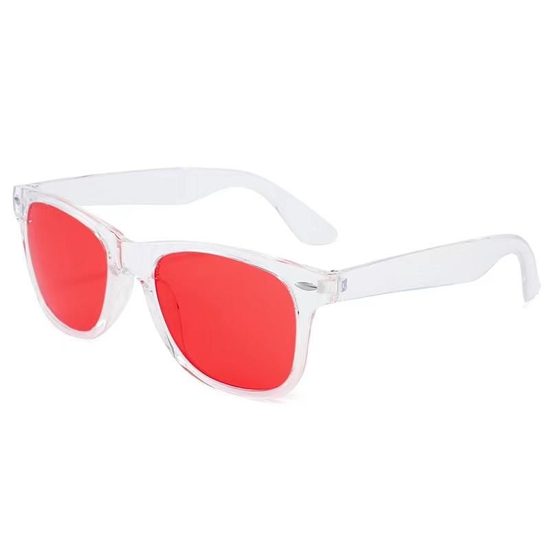 PC Sunglasses with AC Lens Wayfarer Models Rb3447