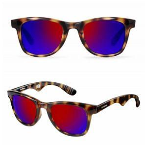 Ladies Designer Sunglasses, Hr-10