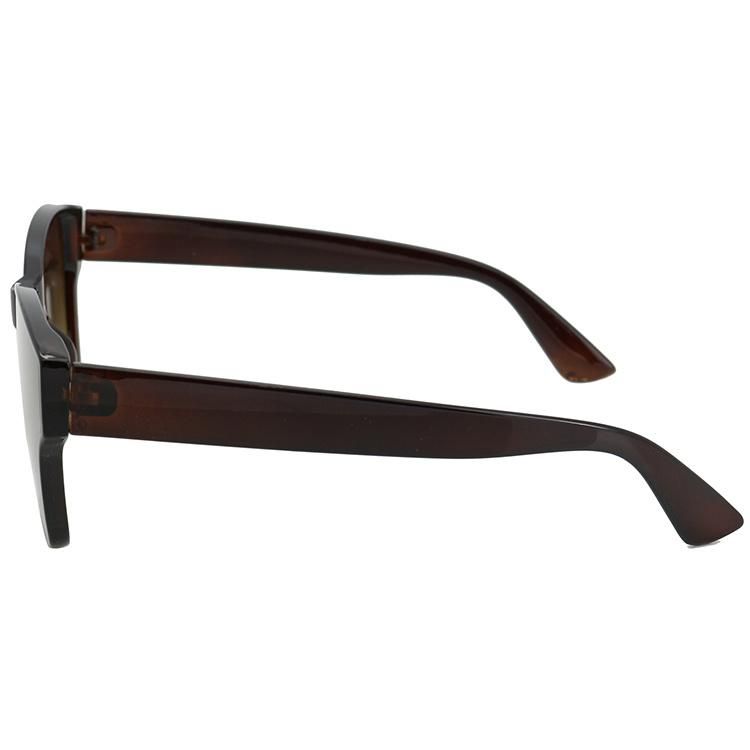 2022 Latest Simple Transparent Brown UV400 Fashion Sunglasses