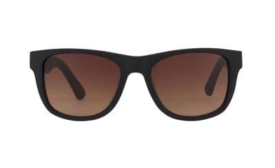 Market Hot Sell Plastic Sunglasses