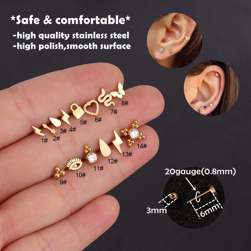 Stainless Steel Earrings Studs Body Piercing Jewelry for Women
