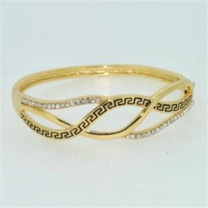 2014 Newest Fashion Jewelry Plated Bangles (B140032)