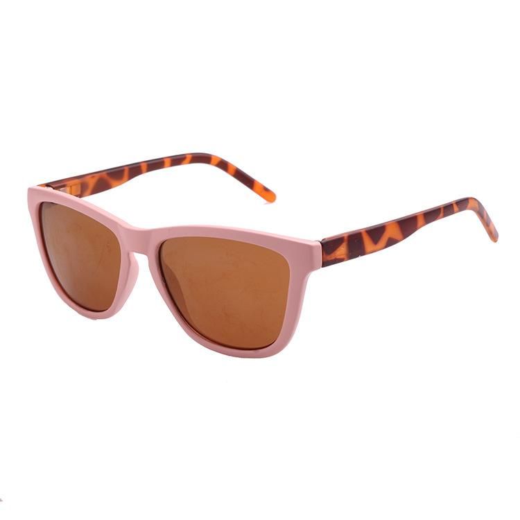 2019 Newly Environmental Friendly Recycle Pet Fashion Sunglasses