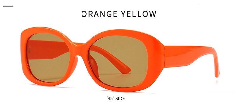 2022 Best Price Hot Selling Wholesale OEM Custom Logo Young Girls Unisex Oval Plastic Frame Fashionable Sunglasses