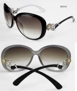Lady&prime;s Sunglasses (DS110-C43)