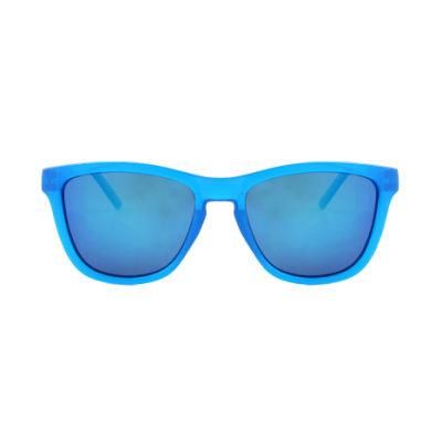 Change Temple PC Frame Europ Design Sunglass