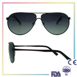 Factory Direct Classic Metal Sunglasses Models
