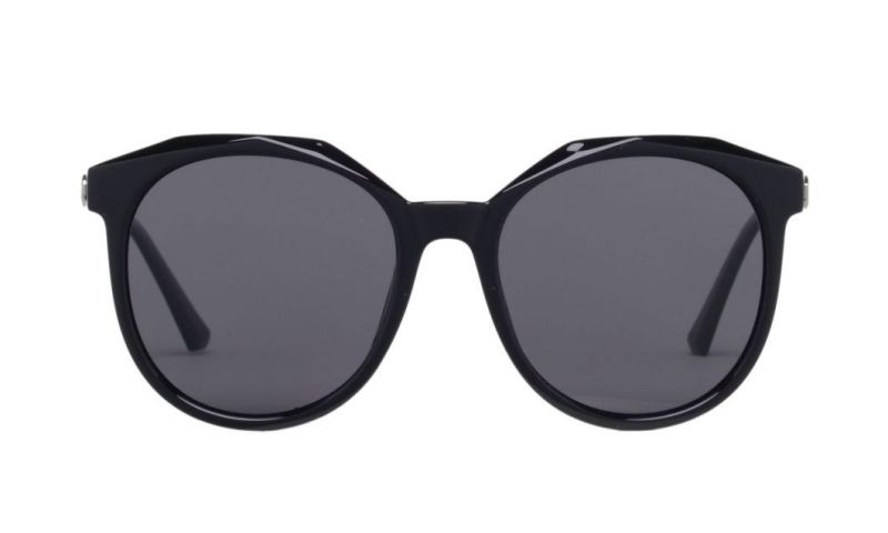 New Arrived Hot Sell PC Sunglasses