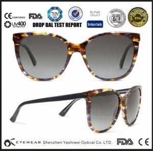 Quality Assurance Tortoiseshell Sunglasses Elegant