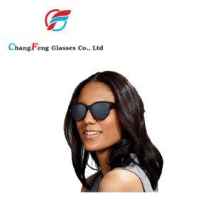 OEM/ODM Customized Stylish Tr90 Nylon Women Fashion Cat-Eye Sun Glasses